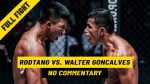 Brazilian Fighter Walter Goncalves Makes MMA Debut After Tough Muay Thai Stints