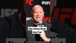 Dana White’s Surprising Opinion on the Paul Brothers