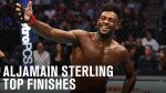 Aljamain Sterling: The Rise of a Bantamweight Champion