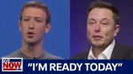 The Epic Showdown: Mark Zuckerberg vs. Elon Musk Cage Fight