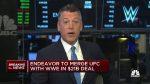 WWE and Endeavor Group Shares Stabilize After Saudi Investment in MMA Competitor