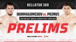 Exciting Night of Title Fights at Bellator 300