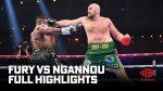 Francis Ngannou’s Epic Battle with Tyson Fury: What’s Next for the MMA Superstar?