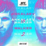 Exciting Fights and Title Showdowns: UFC 2024 Schedule Revealed