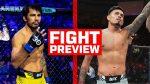UFC 296: Pantoja vs. Royval – Flyweight Title Fight Preview
