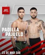Luis Pajuelo: Rising Featherweight Fighter Making Waves in the UFC
