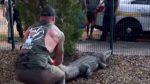 MMA Fighter Takes Down Alligator in Downtown Jacksonville