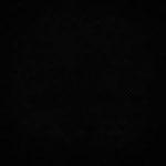 Khabib Nurmagomedov’s Connection to MMA Fighter in Terror Attack