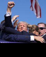 UFC Stars React to Trump’s Assassination Attempt